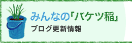 2009年バケツ稲生育日記IIのブログへ