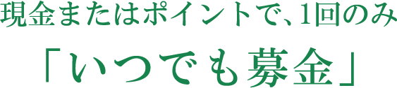 現金またはポイントで、1回のみ「いつでも募金」