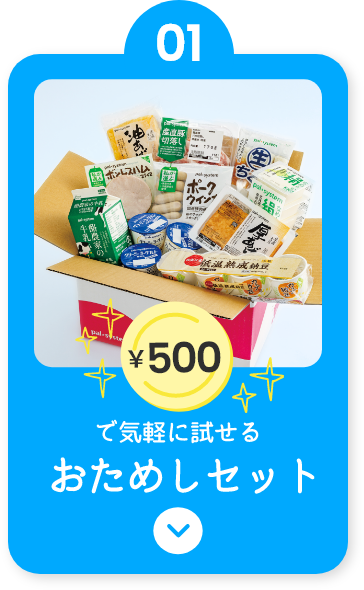 500円で気軽に試せるおためしセット