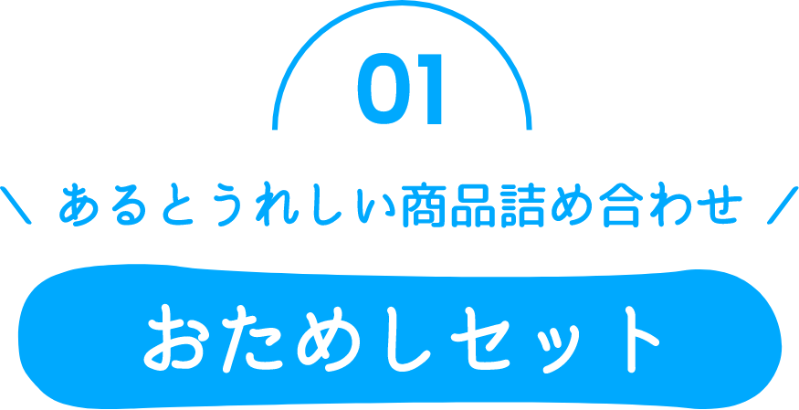 01 あるとうれしい商品詰め合わせ おためしセット