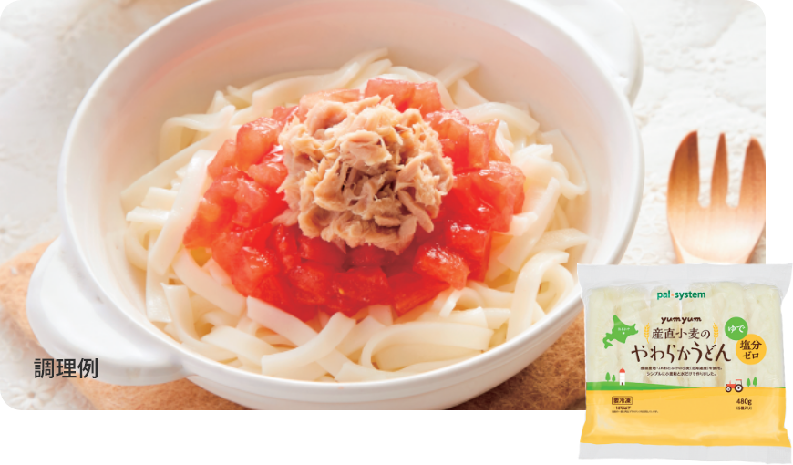 離乳食&時短ごはんおためしセット yumyum産直小麦のやわらかうどん 6個480g
