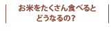 お米をたくさん食べると どうなるの？ 