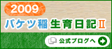 2009バケツ稲生育日記Ⅱ　公式ブログへ