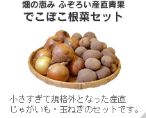 畑の恵み　ふぞろい産直青果　でこぼこ根菜セット