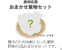 産地応援おまかせ葉物セット