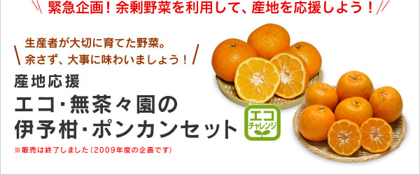 生産者が大切に育てた野菜。余さず、大事に味わいましょう！ もったいないプロジェクト新企画　産地応援エコ・無茶々園の伊予柑・ポンカンセット