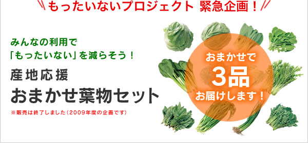 もったいないプロジェクト緊急企画！　産地応援おまかせ葉物セット 