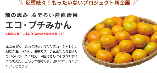 反響続々！もったいないプロジェクト新企画　畑の恵み ふぞろい産直青果エコ・プチみかん（1kg）