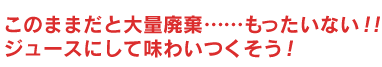 このままだと大量廃棄……もったいない！！ジュースにして味わいつくそう！