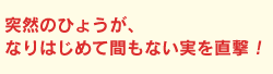 突然のひょうが、なりはじめて間もない実を直撃！