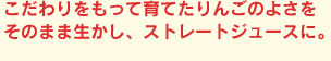 こだわりをもって育てたりんごのよさをそのまま生かし、ストレートジュースに。