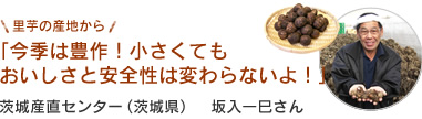 里芋の産地から「今季は豊作！小さくてもおいしさと安全性は変わらないよ！」茨城産直センター（茨城県）　坂入一巳さん