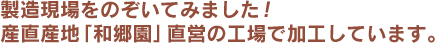 製造現場をのぞいてみました！産直産地「和郷園」直営の工場で加工しています。