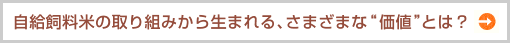 自給飼料米の取り組みから生まれる、さまざまな“価値”とは？