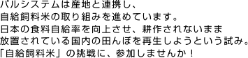 パルシステムは産地と連携し、自給飼料米の取り組みを進めています。日本の食料自給率を向上させ、耕作されないまま放置されている国内の田んぼを再生しようという試み。「自給飼料米」の挑戦に、参加しませんか！