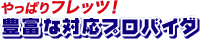 ςtbcIuLxȑΉvoC_v