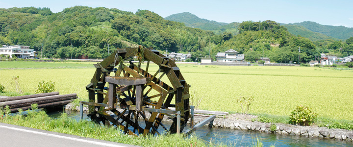 JA高知はた