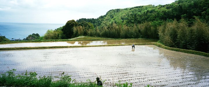 JA佐渡