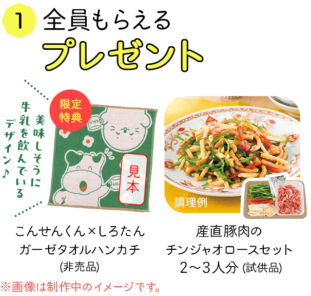 全員もらえる！プレゼント　美味しそうに牛乳を飲んでいるデザイン　こんせんくん　しろたんガーゼタオルハンカチ（非売品）　産直豚肉のチンジャオロースセット２～３人分（試供品）