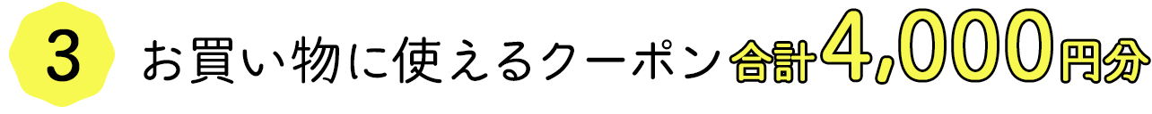お買い物に使えるクーポン合計4,000円分