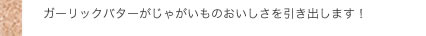 K[bNo^[Ⴊ̂o܂I