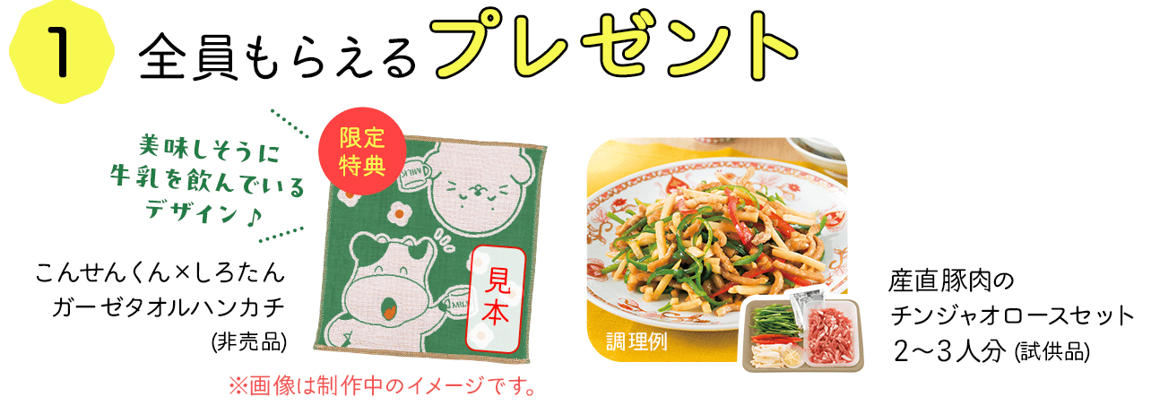 全員もらえる！プレゼント　美味しそうに牛乳を飲んでいるデザイン　こんせんくん　しろたんガーゼタオルハンカチ（非売品）　産直豚肉のチンジャオロースセット２～３人分（試供品）