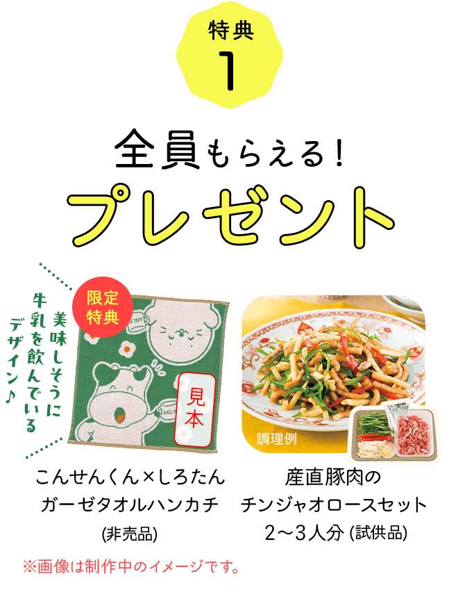 特典1 全員もらえる！プレゼント　美味しそうに牛乳を飲んでいるデザイン　こんせんくん　しろたんガーゼタオルハンカチ（非売品）　産直豚肉のチンジャオロースセット２～３人分（試供品）