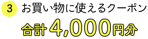 お買い物に使えるクーポン合計4,000円分