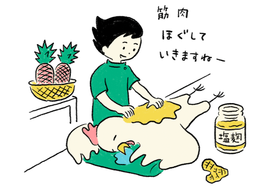 イラスト