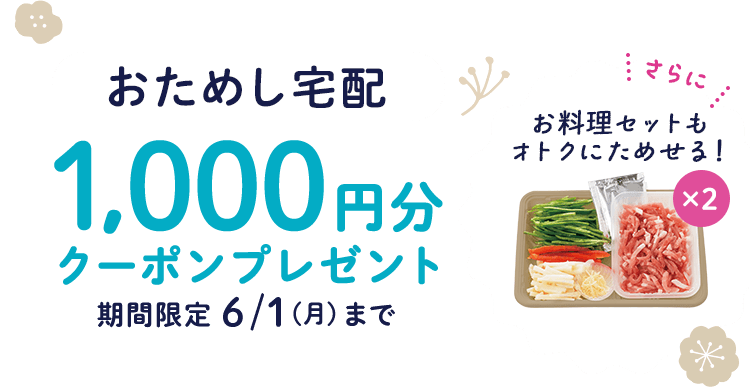おためし宅配　1,000円分クーポンプレゼント お料理セットもおトクにためせる！ 期間限定6/1（月）まで