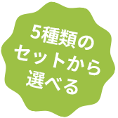 5種類のセットから選べる