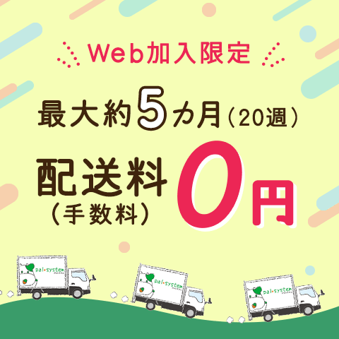 web加入限定　最大約5カ月　配送料（手数料）0円