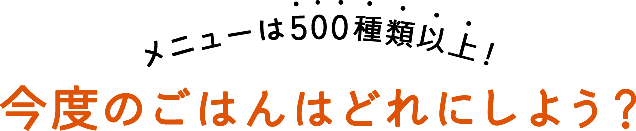 メニューは500種類以上!今度のごはんはどれにしよう?