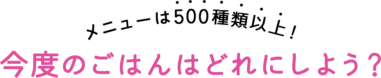 メニューは500種類以上！今度のごはんはどれにしよう？