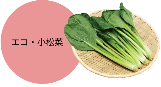 エコ・小松菜