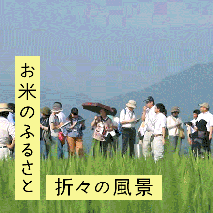 お米のふるさと 折々の風景