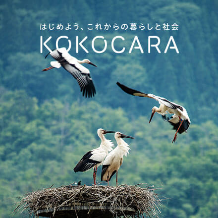 KOKOCARA