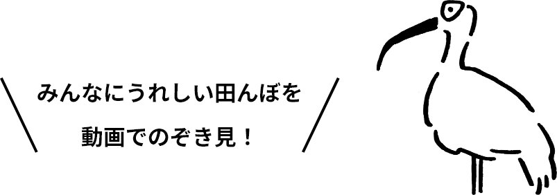 みんなにうれしい田んぼを動画でのぞき見！