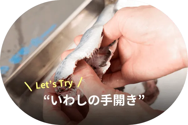 いわしの手開き