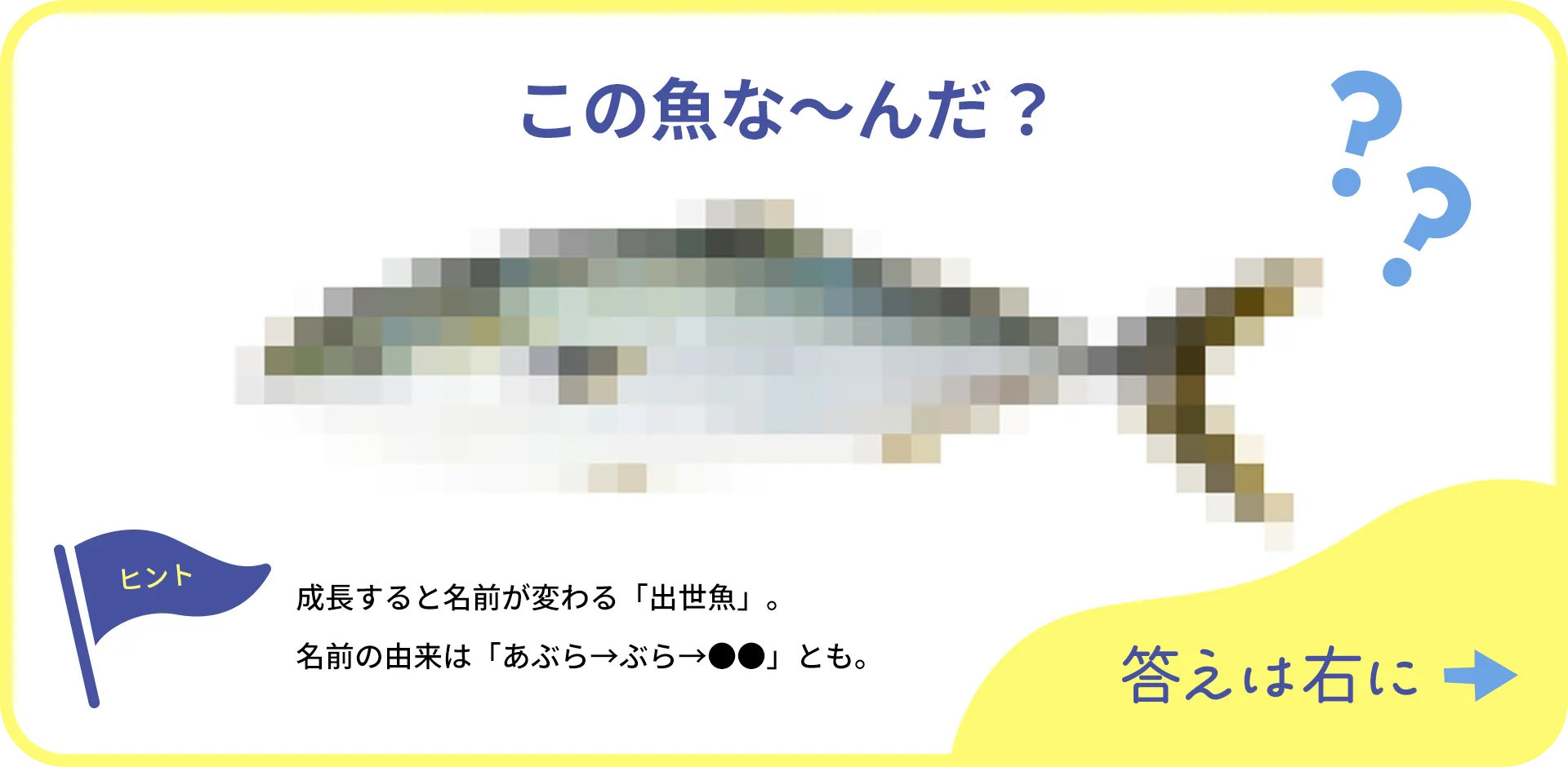 お魚クイズの1つ目の質問