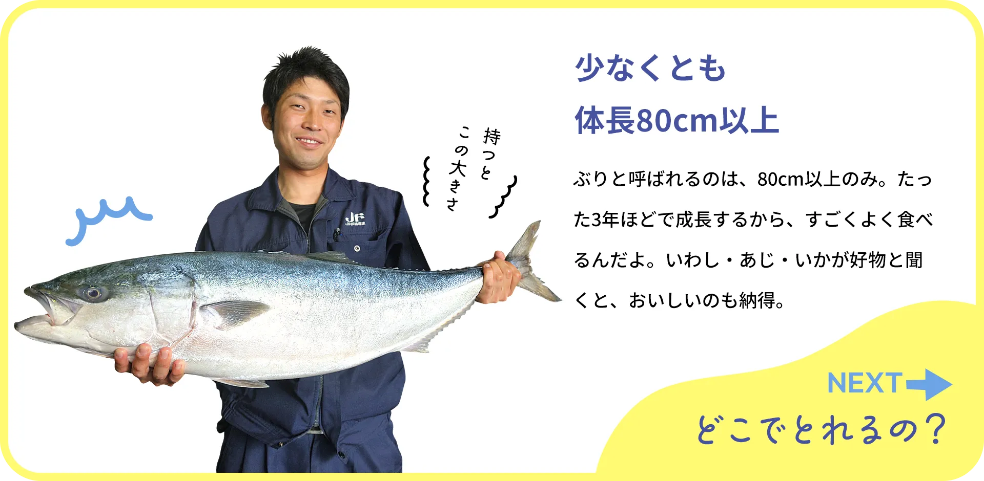 お魚クイズ2つ目の質問
