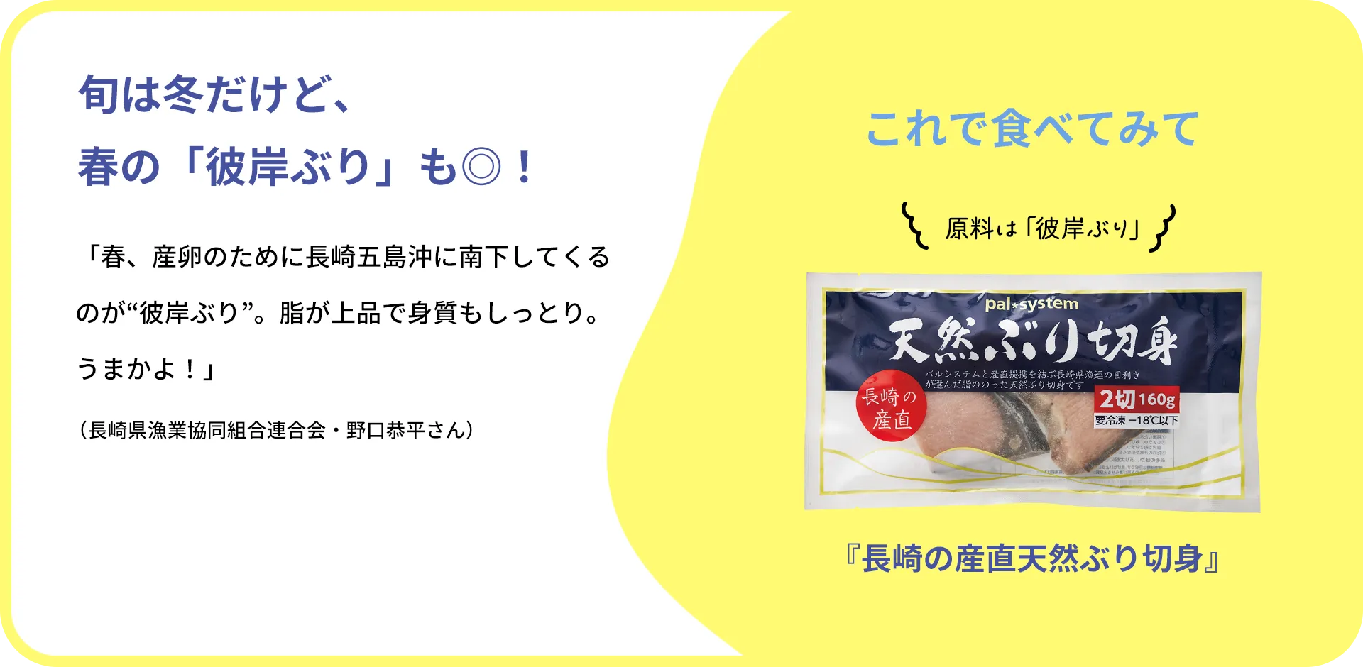 お魚クイズのまとめ