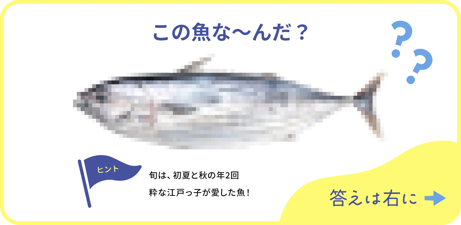 お魚クイズの1つ目の質問