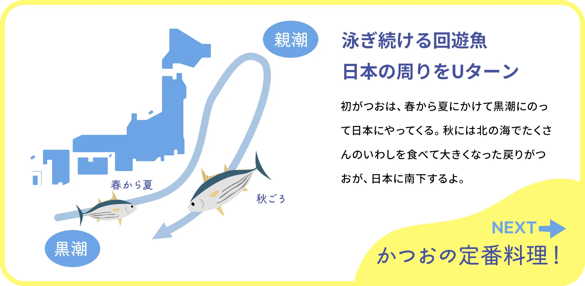 お魚クイズ2つ目の質問