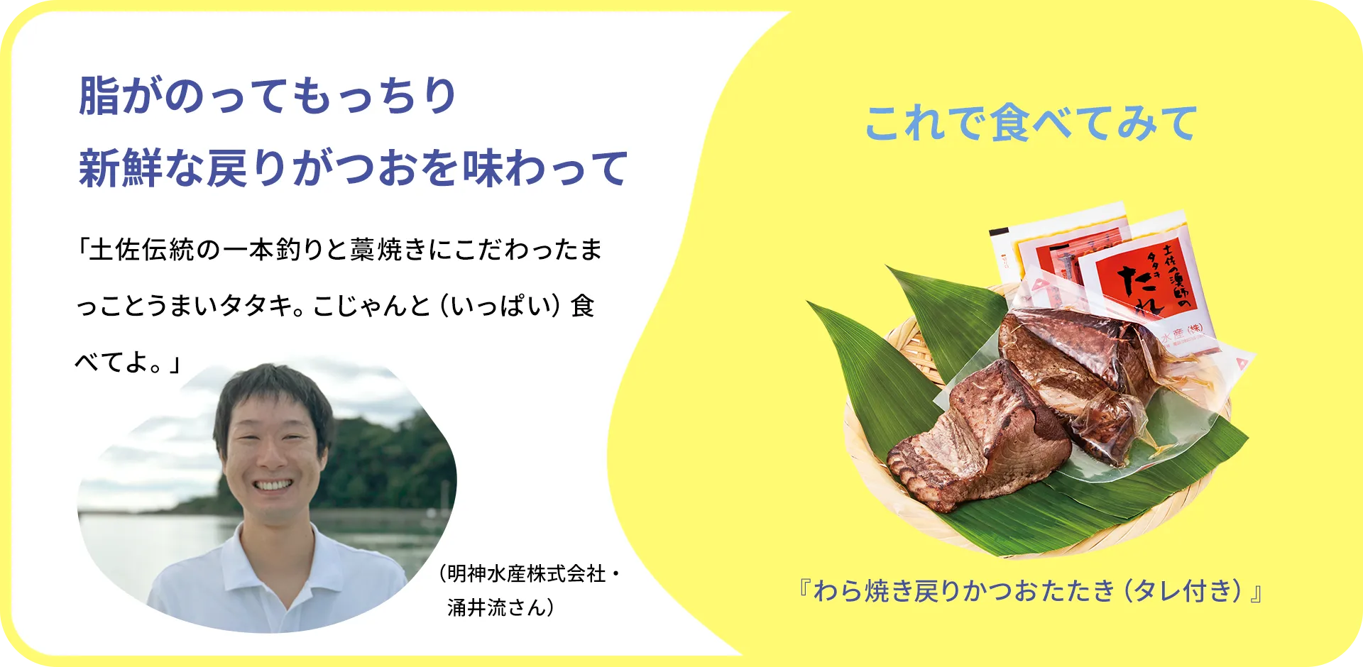 お魚クイズのまとめ