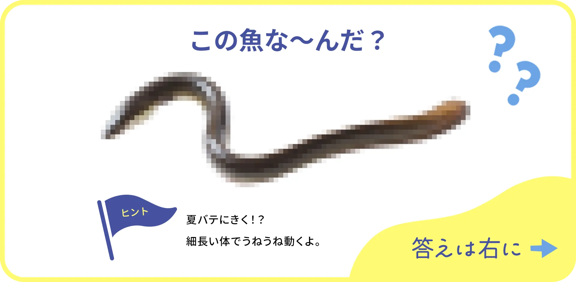 お魚クイズの1つ目の質問