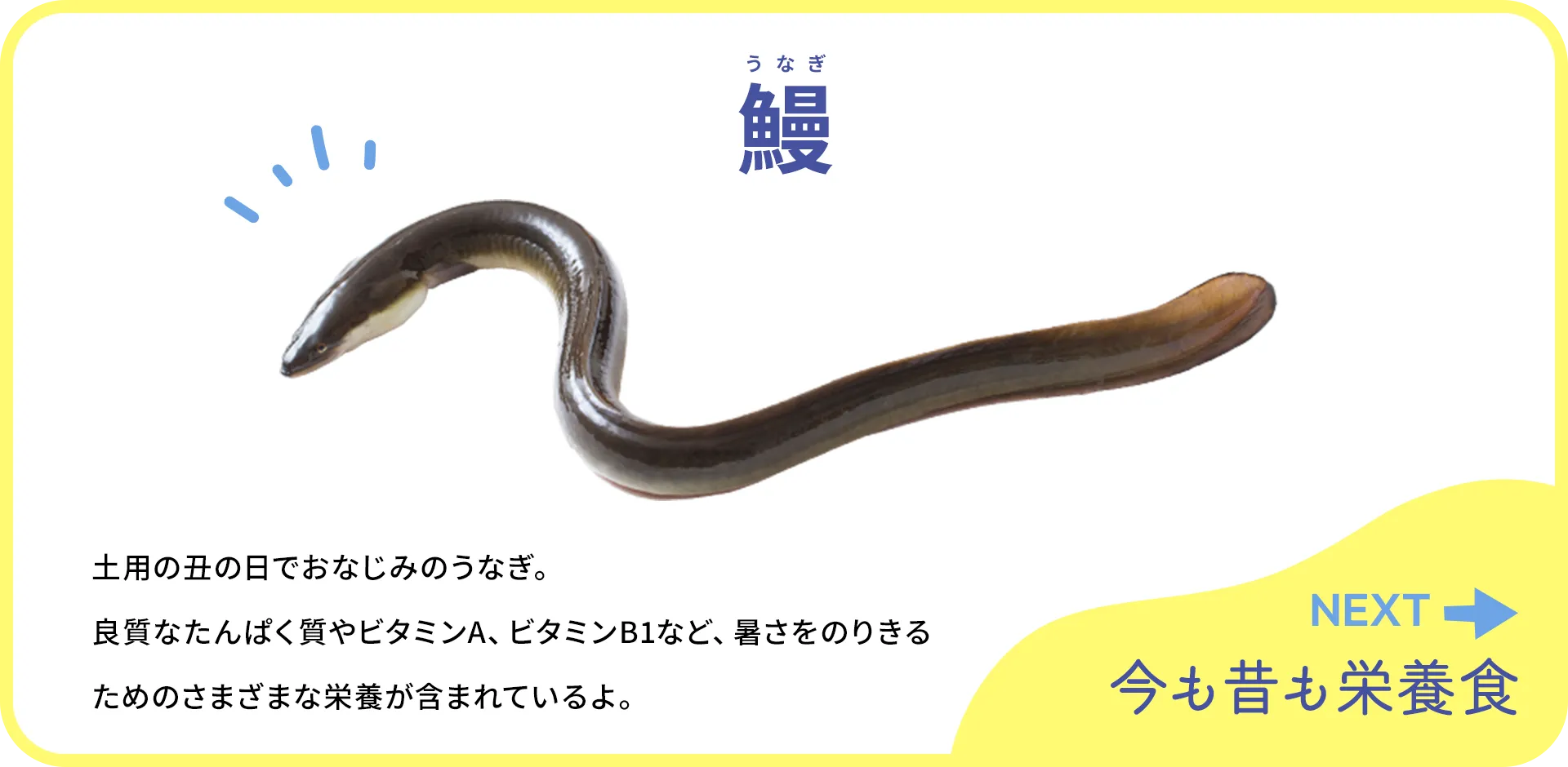 お魚クイズ1つ目の答え