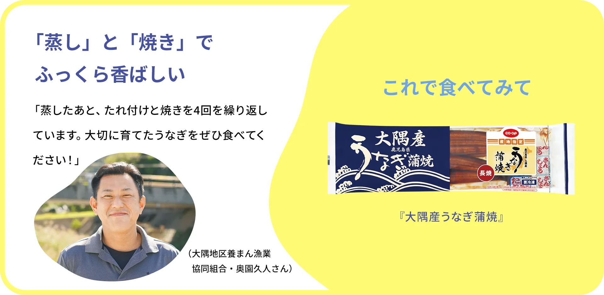 お魚クイズのまとめ