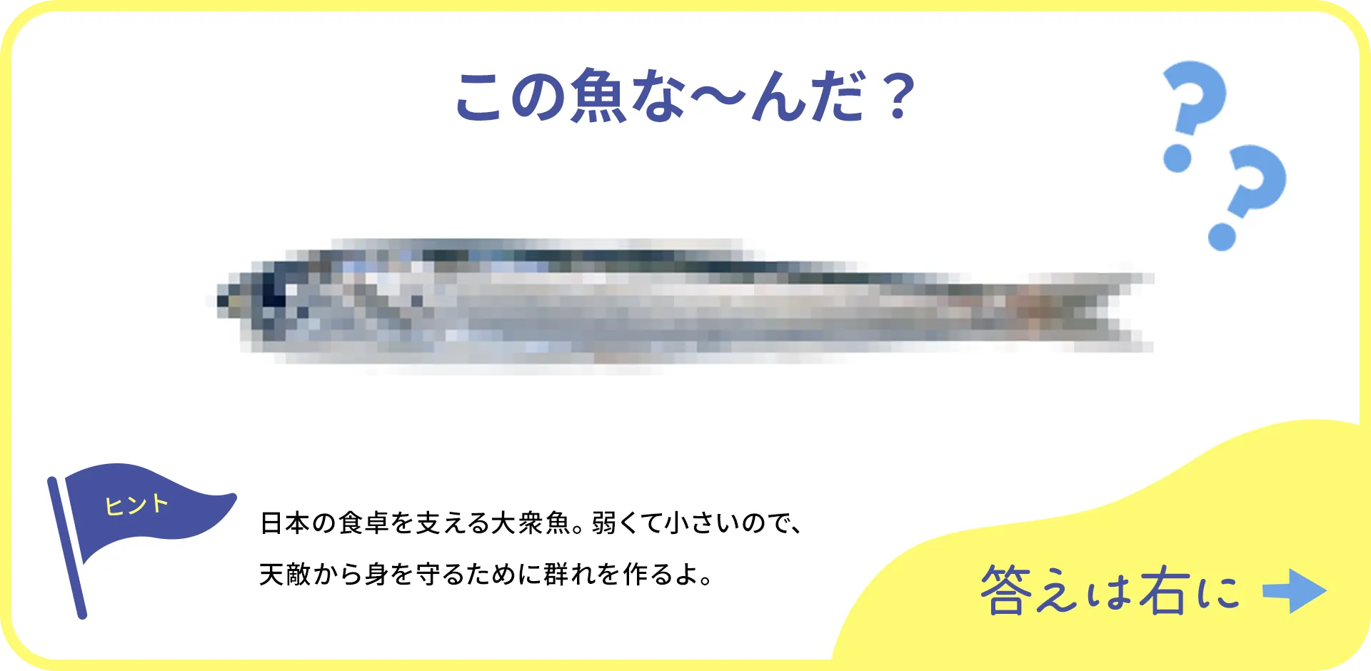 お魚クイズの1つ目の質問