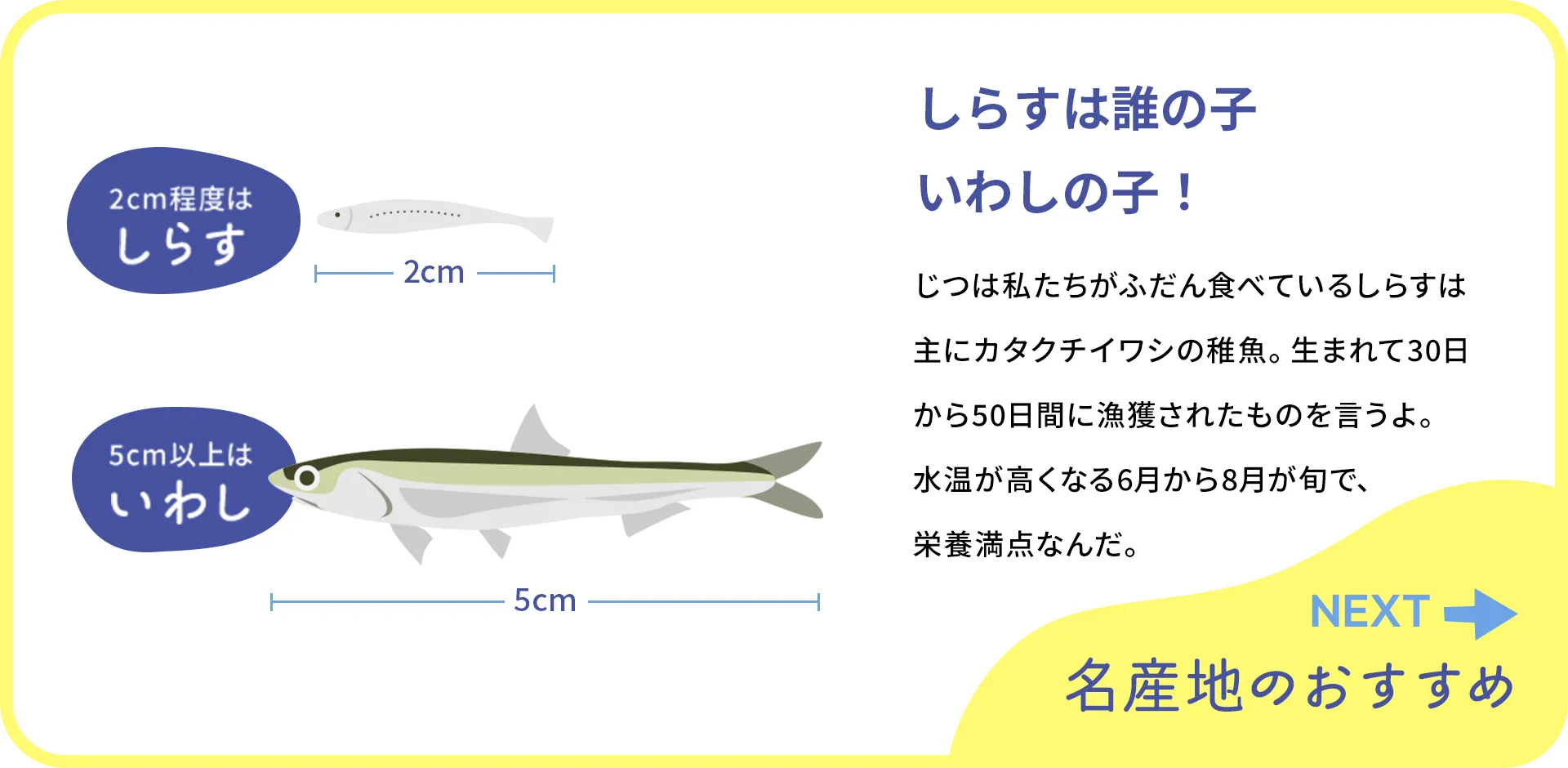 お魚クイズの2つ目の質問